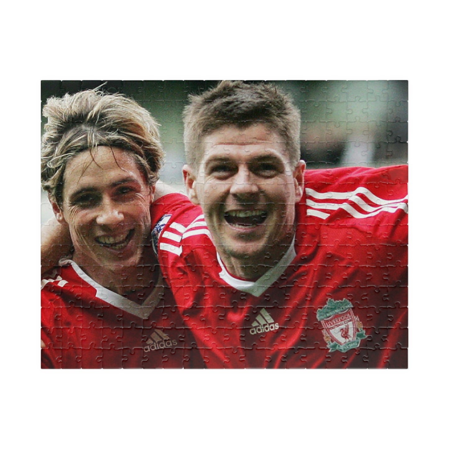 Steven Gerrard & Fernando Torres Liverpool Puzzle
