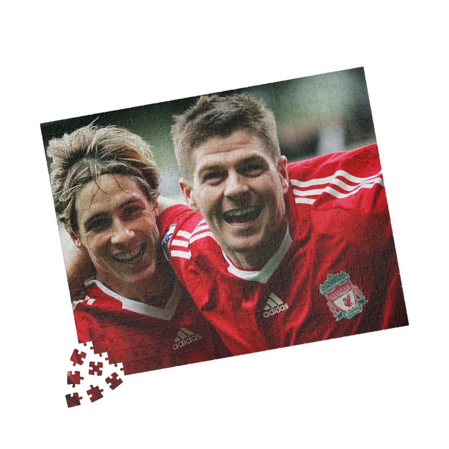 Steven Gerrard & Fernando Torres Liverpool Puzzle