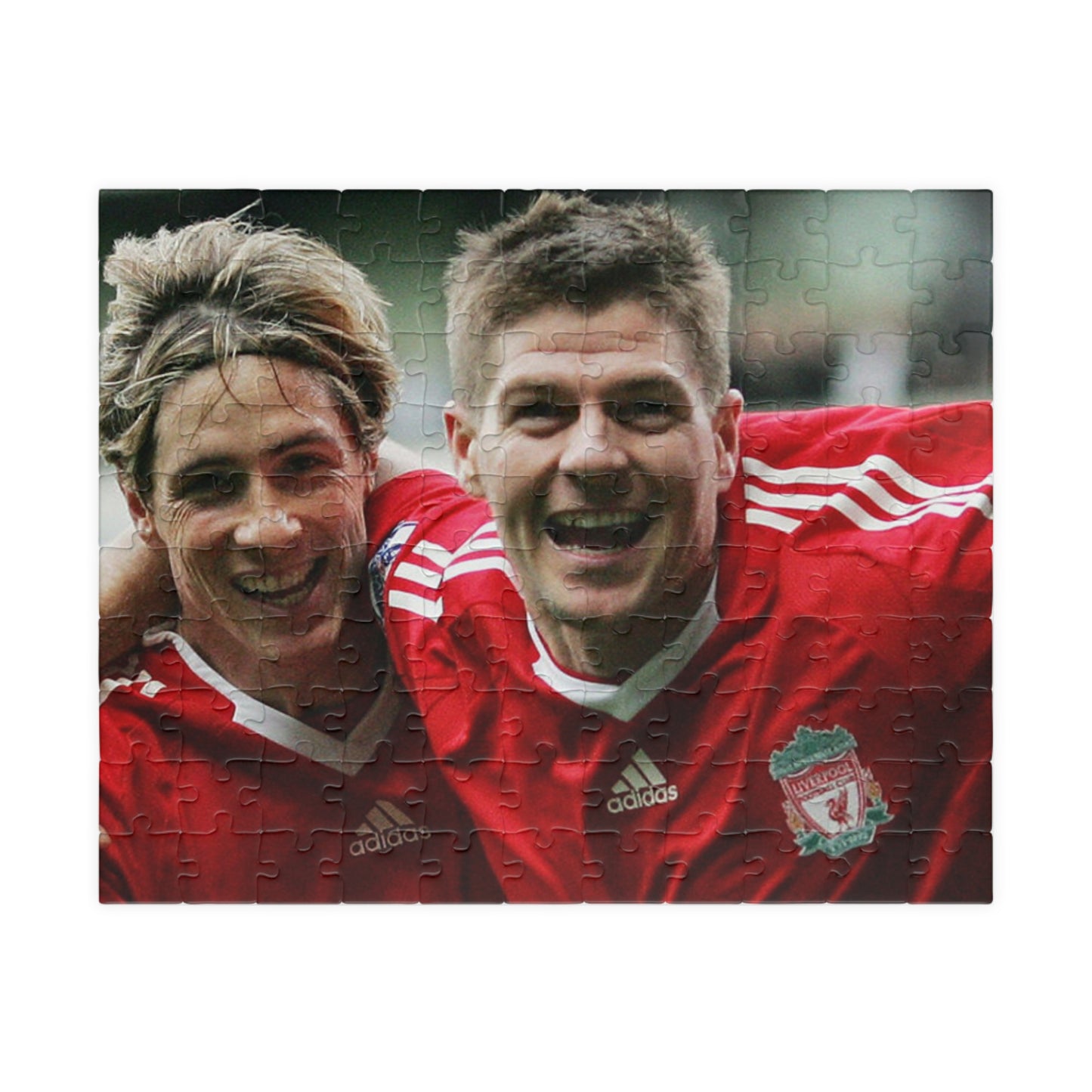 Steven Gerrard & Fernando Torres Liverpool Puzzle