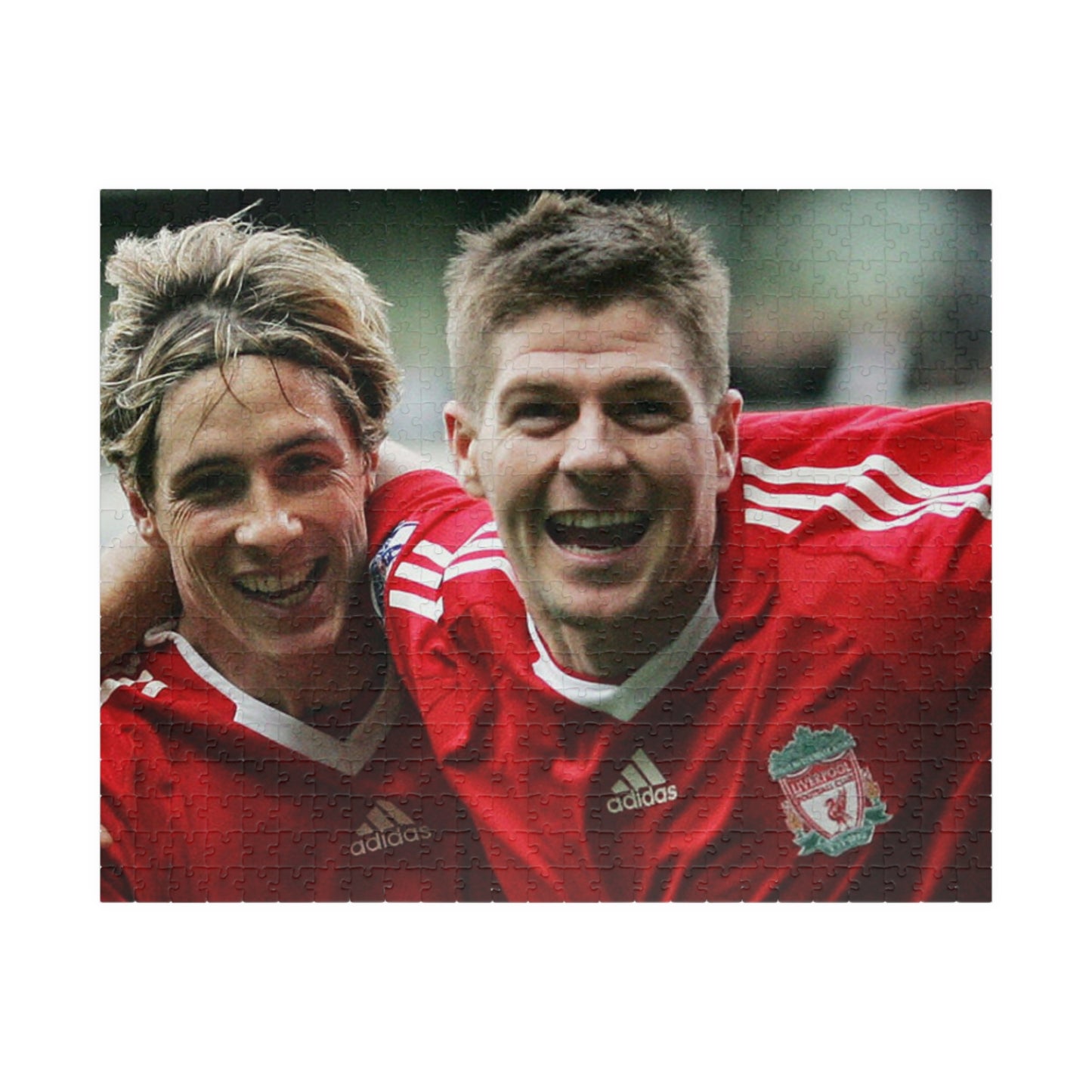 Steven Gerrard & Fernando Torres Liverpool Puzzle