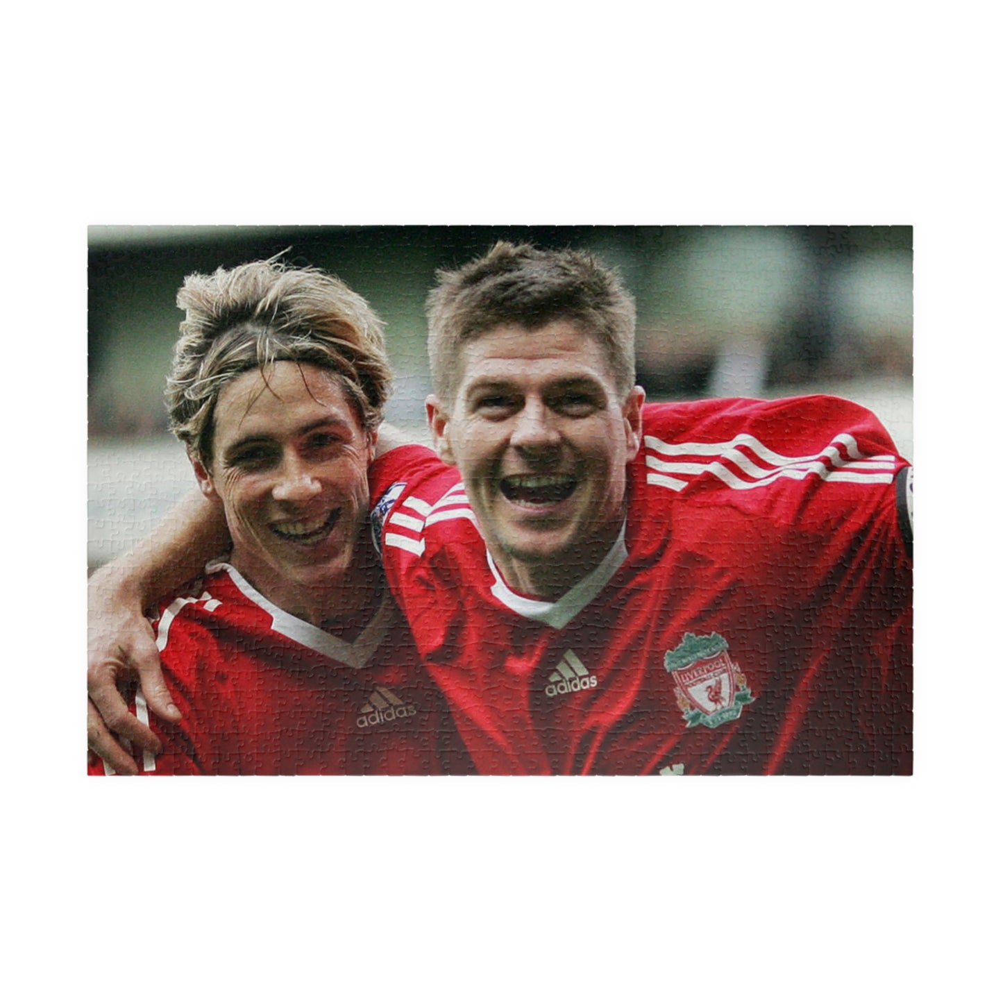 Steven Gerrard & Fernando Torres Liverpool Puzzle