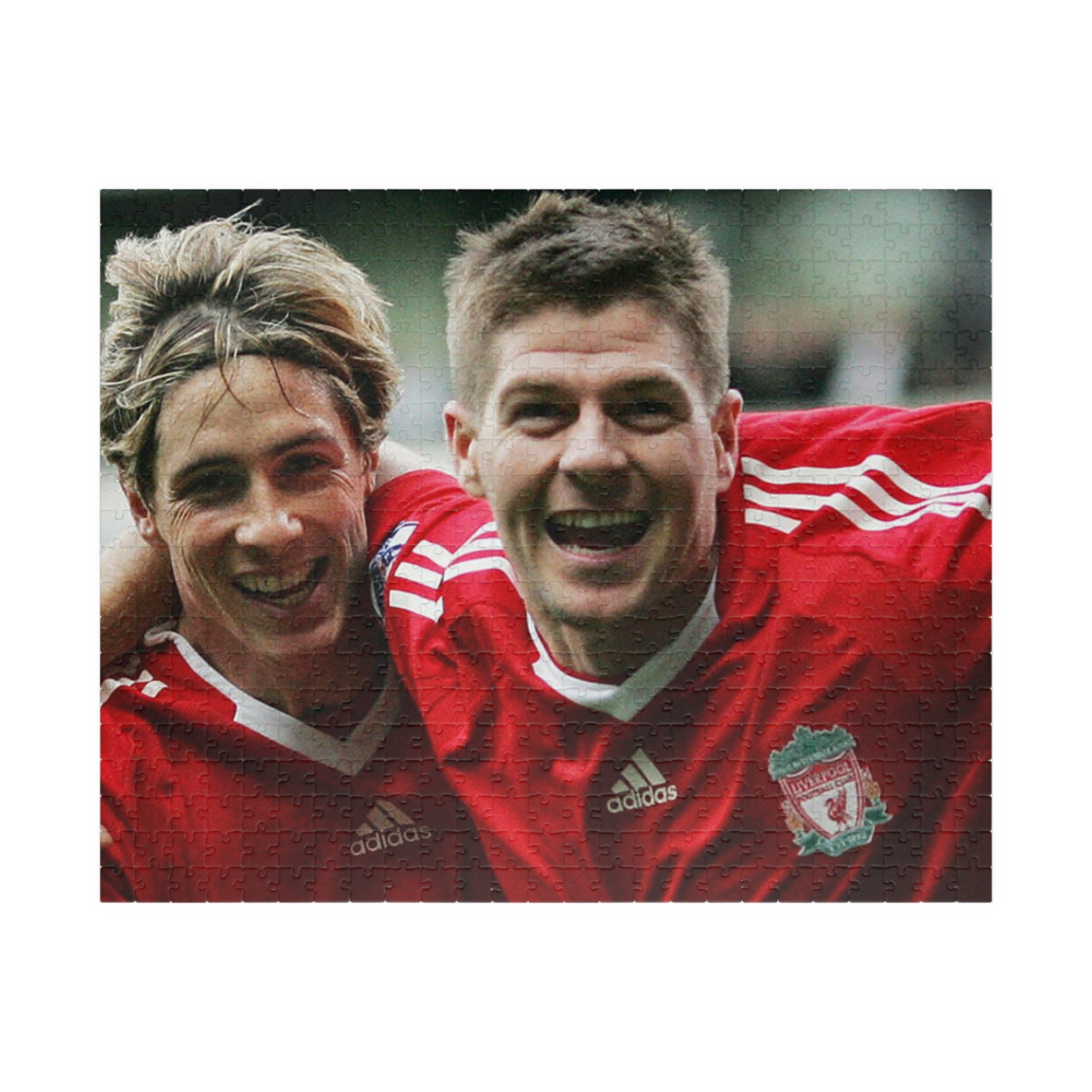 Steven Gerrard & Fernando Torres Liverpool Jigsaw Puzzle — Custom 110/252/520/1014-Piece